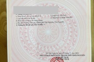 Cơ Hội Đầu Tư Đất Vàng Tại Phường Tân Lập, TP. Thái Nguyên – Giá Siêu Hấp Dẫn Chỉ 3X Triệu/m²