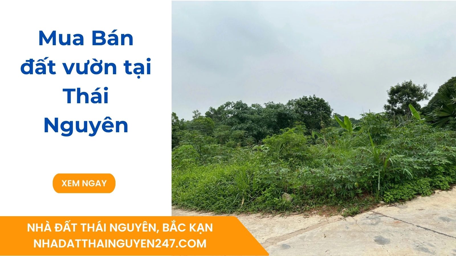 Mua Bán đất vườn tại Thái Nguyên